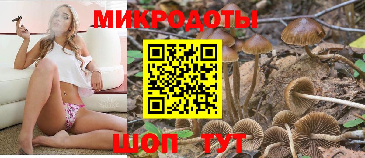 Артём  Псилоцибиновые грибы прущие грибы  Вход с VPN 