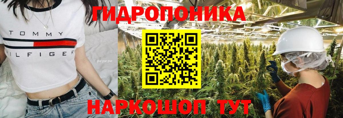 МАРИХУАНА план  Конопля семена  Артём  Конопля семена  МАРИХУАНА тримм  Вход с VPN 